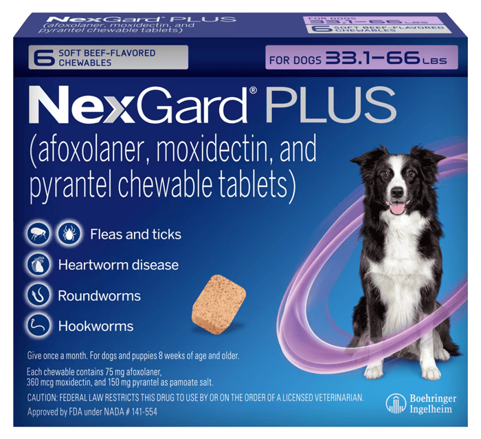 Nexgard PLUS box